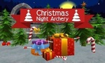 Christmas Night Archery