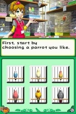 Discovery Kids: Parrot Pals