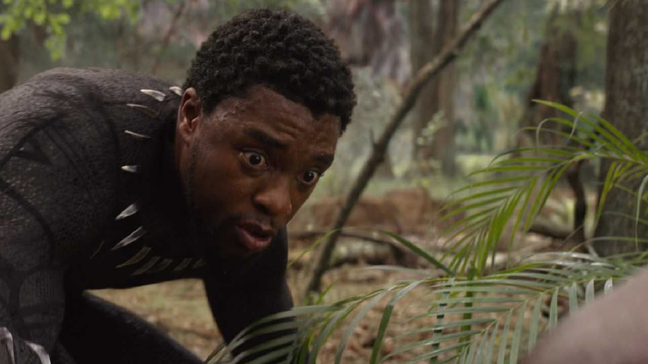 Nigger Man Black Panther Meme