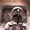 BioShock 4 с новыми известиями раскрыли и взбесили фанатов