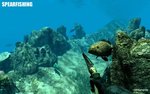 Spearfishing