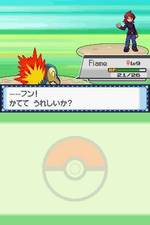 Pokémon HeartGold/SoulSilver