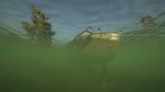 Resilience: Wave Survival
