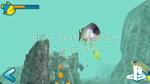 Reef Aquarium