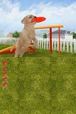 Petz Dogz Talent Show