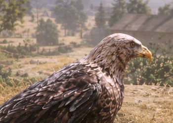 Red Dead Redemption 2 ручного орла показали