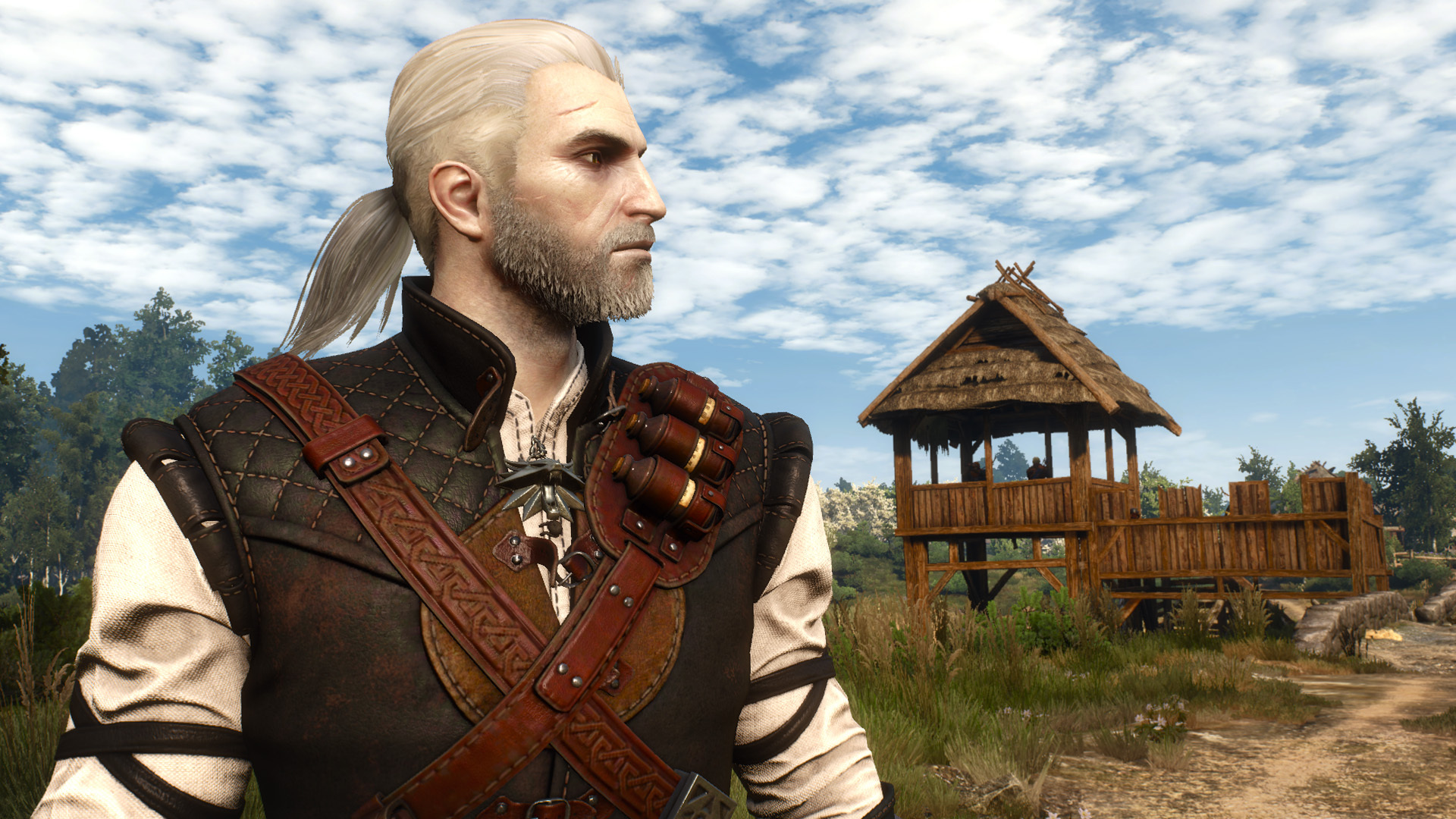 Geralt from the witcher 3 фото 61