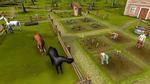 Family Farm