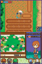 Harvest Moon: The Tale of Two Towns