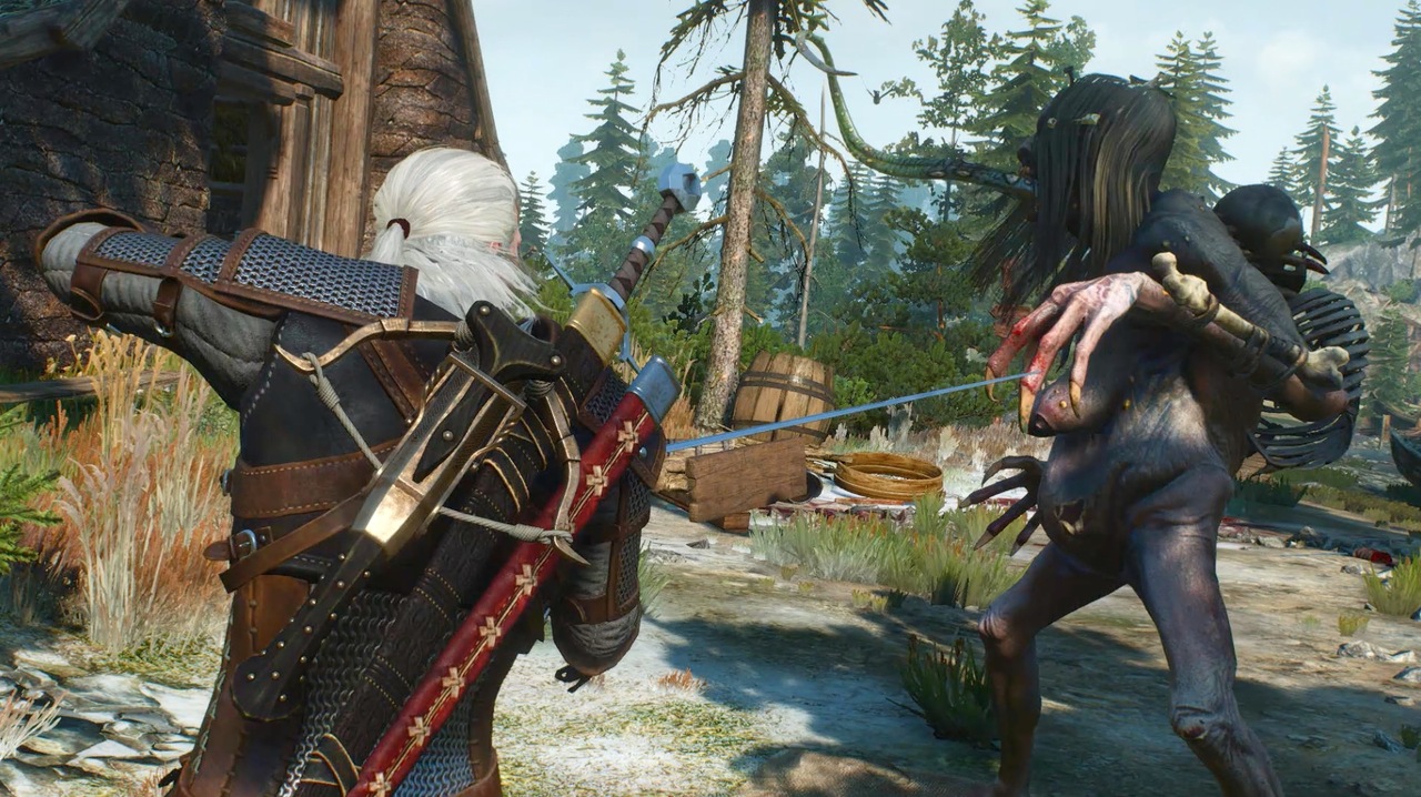 The witcher 3 quests skellige фото 50