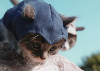 Котята показали себя настоящими ассасинами в новом ролике к игре Assassin's Creed: Unity