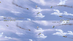 Air Legends